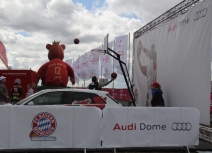 Audi Freestyler