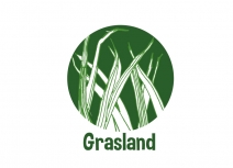 Grasland