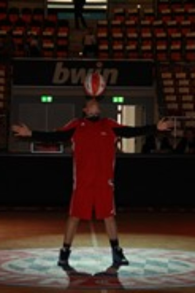Audi Freestyler 2013