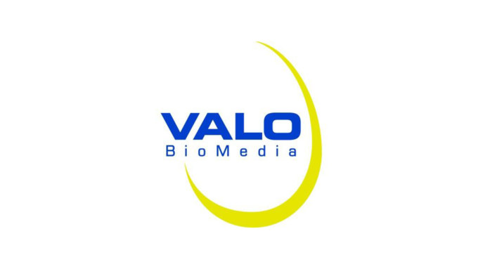 Auf der VALO Biomedia Jubiläumsfeier verzaubert ein herausragender Zauberkünstler, vermittelt von YOPURACT & Breakball®, das Publikum mit exklusiver Magie, technischer Exzellenz und internationaler Eventinnovation.